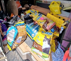 Die Tierambulanz verteilt regelmässig Futter