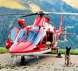 Tierambulanz Schweiz