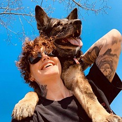 Ein unschlagbares Team- Tierambulanz Schweiz