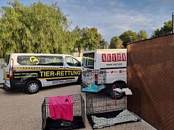 Spenden werden an das Tierheim Akira verteilt