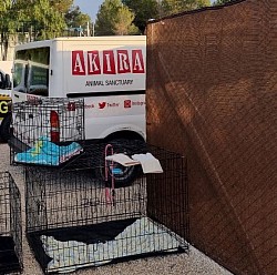 Spenden werden an das Tierheim Akira verteilt