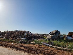 Der Tierrettungsdienst Schweiz in Valencia vor Ort