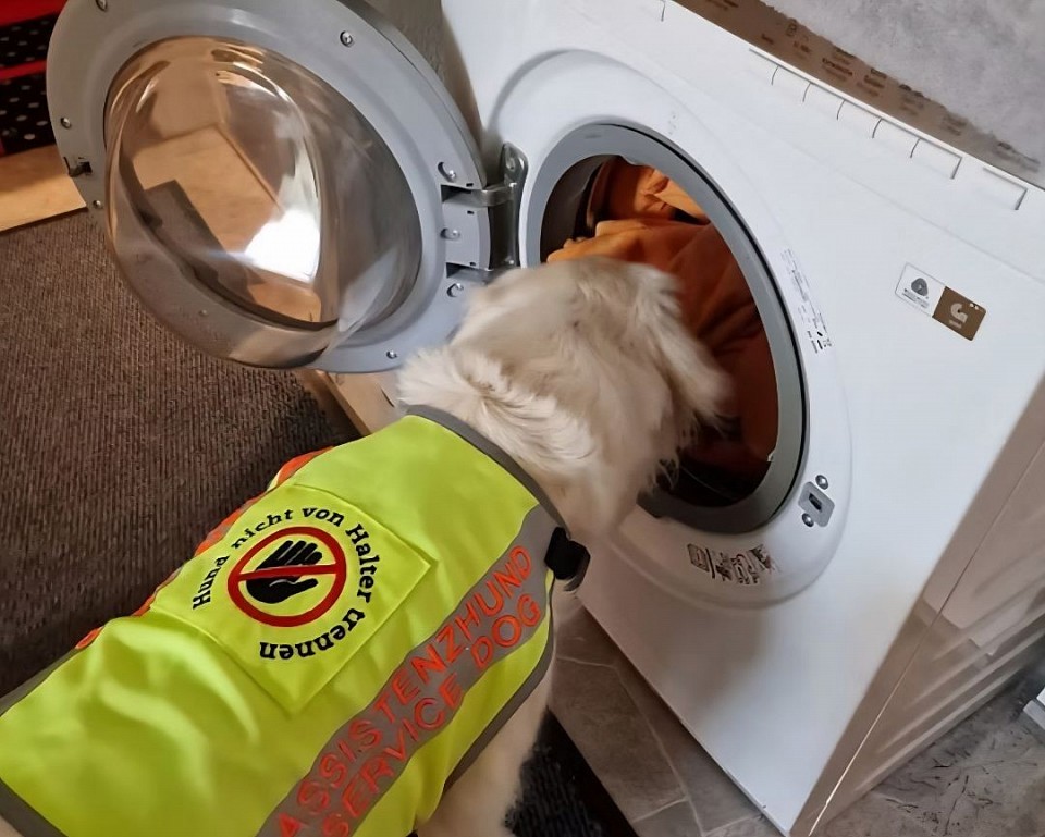 Assistenzhund bei der Arbeit